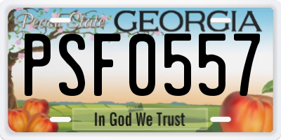 GA license plate PSF0557