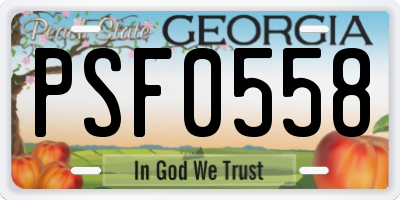 GA license plate PSF0558