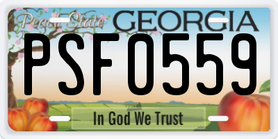 GA license plate PSF0559