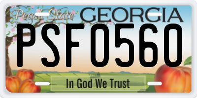GA license plate PSF0560