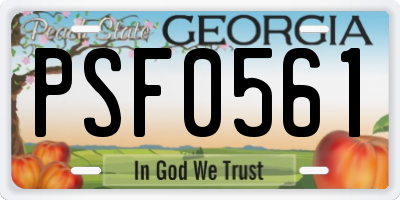 GA license plate PSF0561