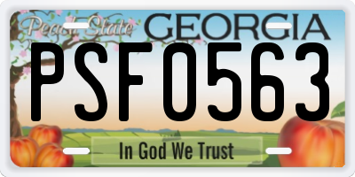 GA license plate PSF0563
