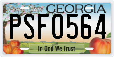 GA license plate PSF0564