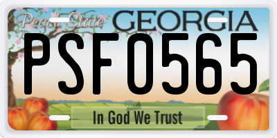 GA license plate PSF0565
