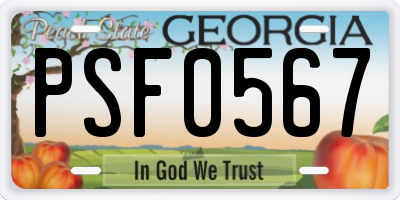 GA license plate PSF0567