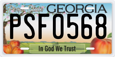 GA license plate PSF0568