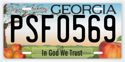 GA license plate PSF0569