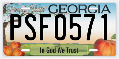 GA license plate PSF0571