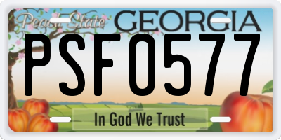 GA license plate PSF0577