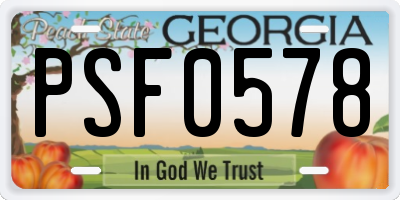 GA license plate PSF0578