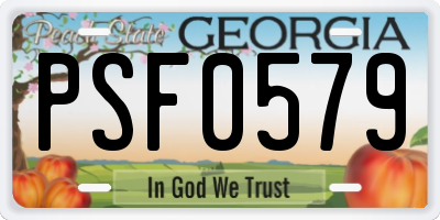 GA license plate PSF0579