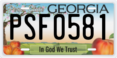 GA license plate PSF0581