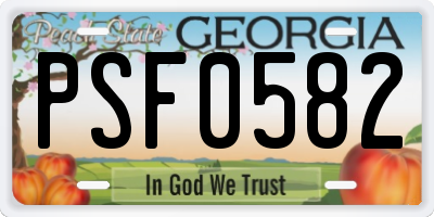 GA license plate PSF0582
