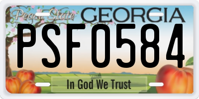 GA license plate PSF0584