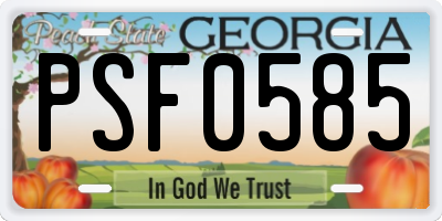 GA license plate PSF0585