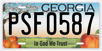 GA license plate PSF0587