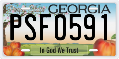 GA license plate PSF0591