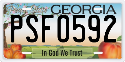 GA license plate PSF0592