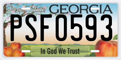 GA license plate PSF0593