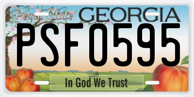 GA license plate PSF0595