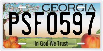 GA license plate PSF0597