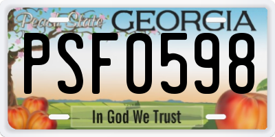 GA license plate PSF0598