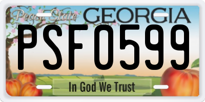 GA license plate PSF0599