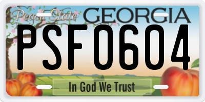 GA license plate PSF0604