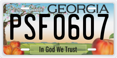 GA license plate PSF0607