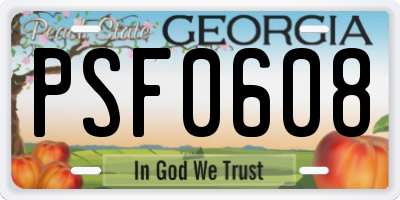 GA license plate PSF0608