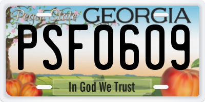 GA license plate PSF0609