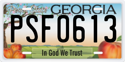GA license plate PSF0613