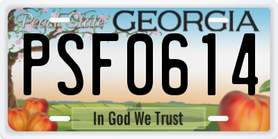 GA license plate PSF0614