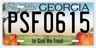 GA license plate PSF0615