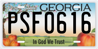 GA license plate PSF0616