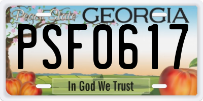 GA license plate PSF0617