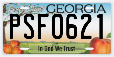 GA license plate PSF0621