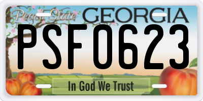 GA license plate PSF0623