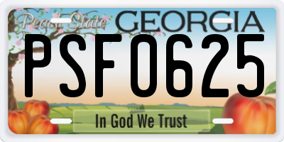 GA license plate PSF0625