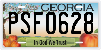 GA license plate PSF0628