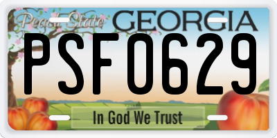 GA license plate PSF0629