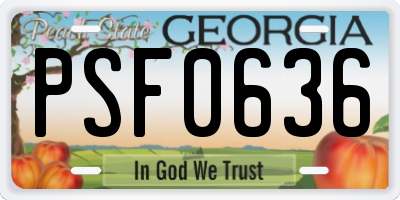 GA license plate PSF0636