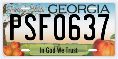 GA license plate PSF0637