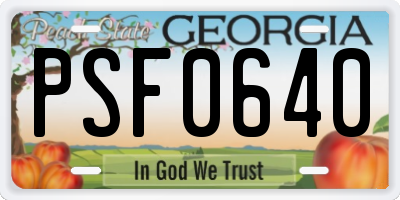 GA license plate PSF0640