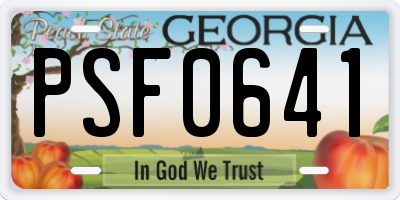 GA license plate PSF0641