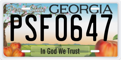 GA license plate PSF0647