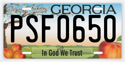 GA license plate PSF0650