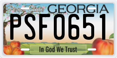 GA license plate PSF0651