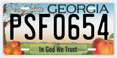 GA license plate PSF0654