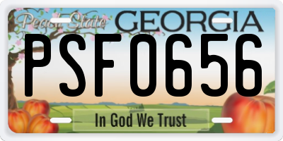 GA license plate PSF0656
